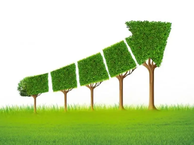 什么是碳邊境調(diào)節(jié)機(jī)制，對(duì)中國(guó)有哪些影響？